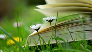 Otvorena knjiga leži na zelenoj travi