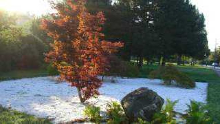 copyright: MA 42 Kiesbett mit Baum und Stein