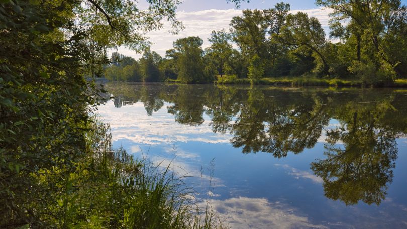 copyright: Stadt Wien - Franz Kalab Auf der ruhigen Wasseroberfläche spiegeln sich die Wolken. Auf beiden Seiten stehen Bäume dicht am Ufer.