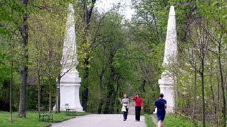 copyright: Lammerhuber (MA 49) Menschen auf einer Allee im Park