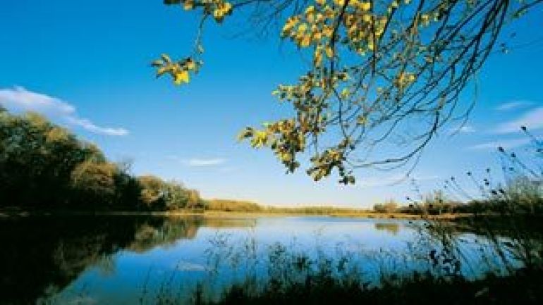 copyright: Lammerhuber - MA 49 Ein Altarm in der Lobau