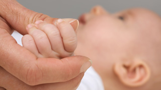 Hand einer erwachsenen Person hlt Hand eines Babys