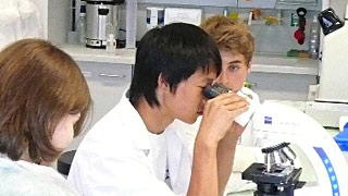 Junger Forscher blickt durchs Mikroskop