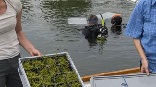Two women with boxes full of underwater plants in a boat, in the background two divers in the water