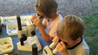 Zwei Kinder betrachten etwas mit Mikroskopen.