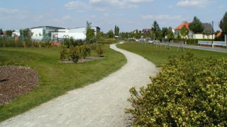 Ein Schotterweg mit Kirschbumen links und rechts, dahinter eine weite Wiese mit einer Wohnsiedlung
