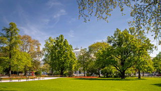 Wiese in einem Park mit groen Bumen