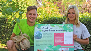 Eine Frau und ein Mann mit Ginkgobaum und Info-Tafel
