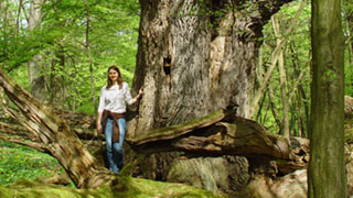Eine Frau steht neben einem alten groen Baum.