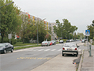 Kreuzungsbereich Adolf- Loos-Gasse - Kaltangasse: parkende Autos im Kreuzungsbereich, Bodenmarkierung "Schulweg" und Zebrastreifen