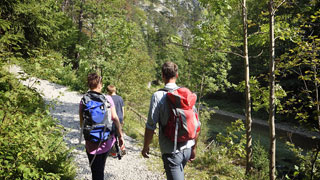 Two hikers walking along a path in a forest.