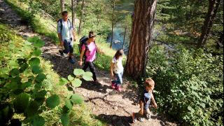 Erwachsene und Kinder wandern durch Waldgebiet