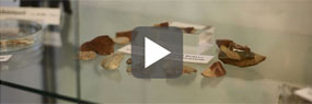 Videoausschnitt mit Play-Button: Fossile aus der Altsteinzeit
