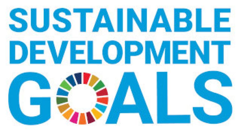 Logo Sustainable Development Goals