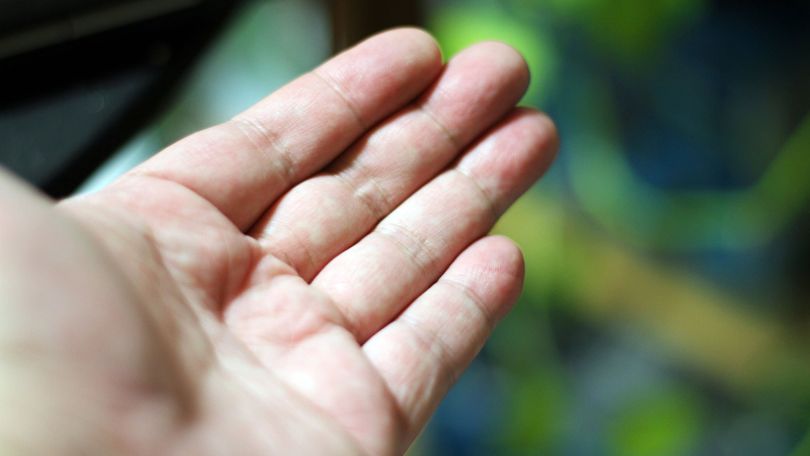 Eine ausgestreckte Hand