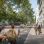 Straßenszene mit Bäumen und Menschen am Gehsteig sowie Radfahrenden und Autos