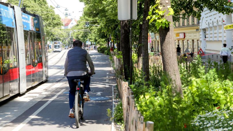 Fahrradfahrer auf Radweg umgeben von Baumallee und Straßenbahngleisen