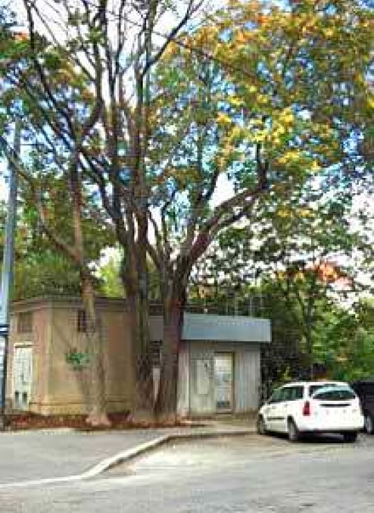 Gebäude der Messstation am Belgradplatz