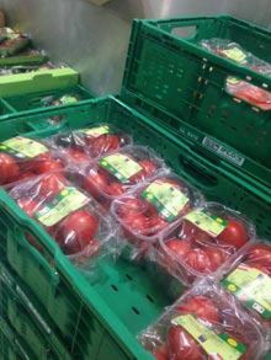 Mehrweg-Kisten mit Paradeisern gefüllt