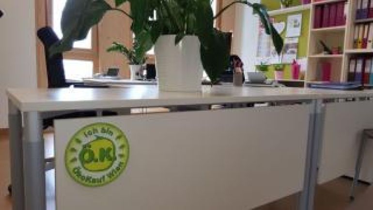 ein eingerichtets Büro mit, unter anderem einem Schreibtisch, auf dem ein Blumentopf mit einer Grünpflanze steht