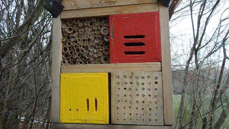 copyright: Heidi Braun Insektenhotel (Nisthilfe für Insekten); ein solches "Hotel" kann über die MA 22 bezogen werden.