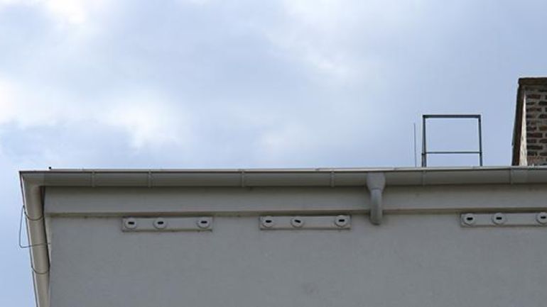 Mauersegler-Nistkästen an einem Wiener Gemeindebau: Die Nistkästen wurden in die Wärmedämmung eingelassen und überstrichen.