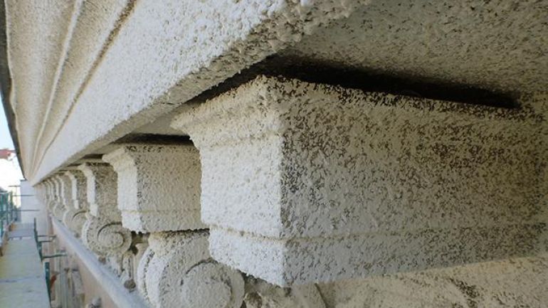 Eine als Brutplatz adaptierte Zierkonsole