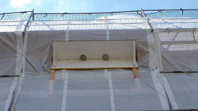 Kunstnester außen am Baugerüst
