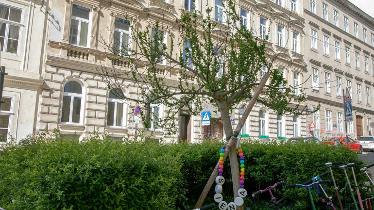 copyright: BV 6 Geschmückter Baum umgeben von Hecke, im Hintergrund Wiener Altbauten