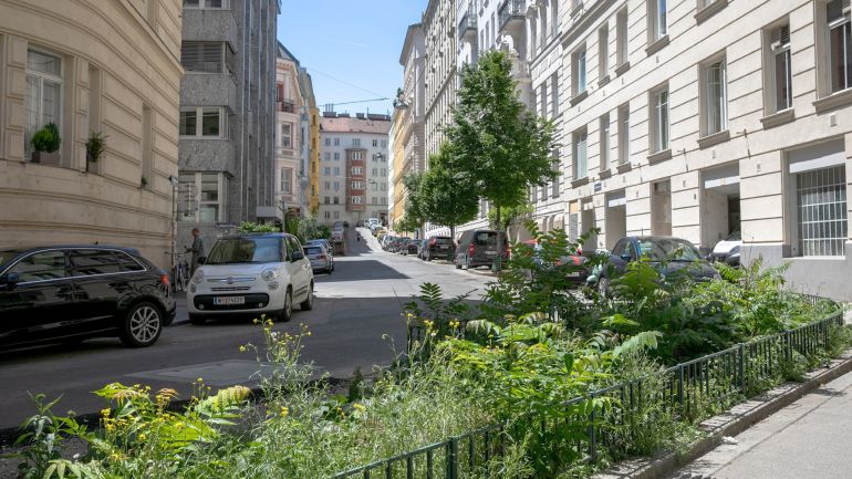 copyright: BV 6 Gasse zwischen Altbauten; Im Hintergrund sind parkende Autos und im Vordergrund ist ein Grünstreifen zu sehen.