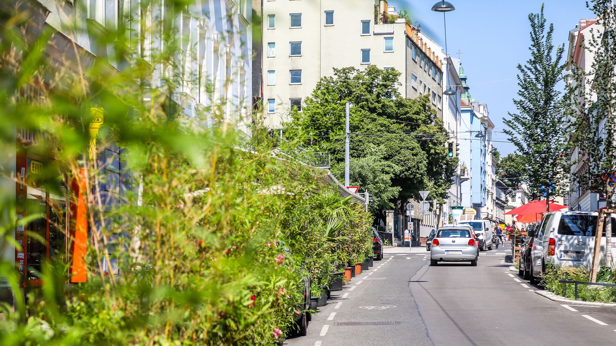 Straße mit Sträuchern