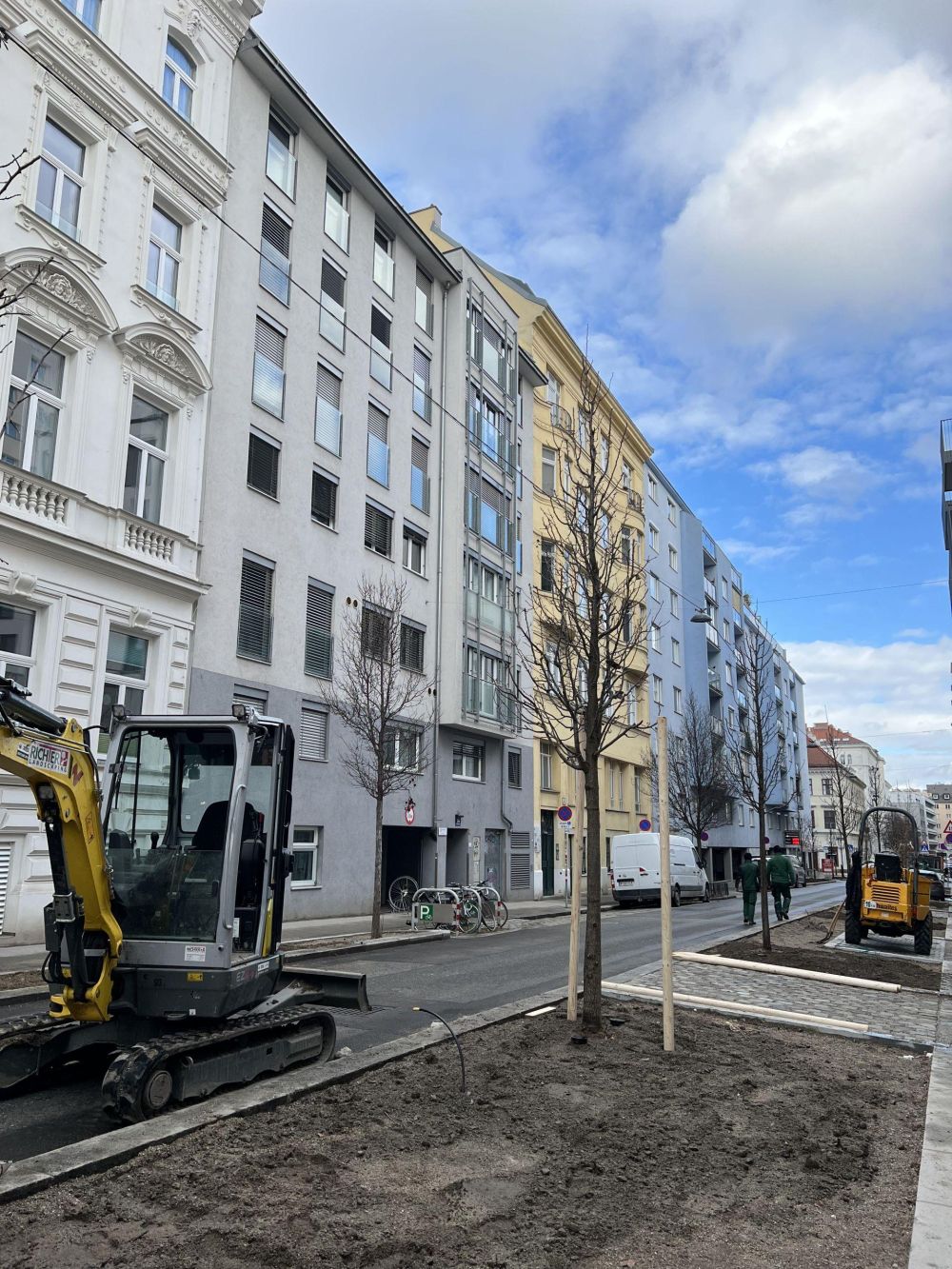 Ein frisch gepflanzter Baum neben einer Straße und einem Gehweg sowie Wohngebäuden