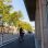 Radweg entlang des Gürtels