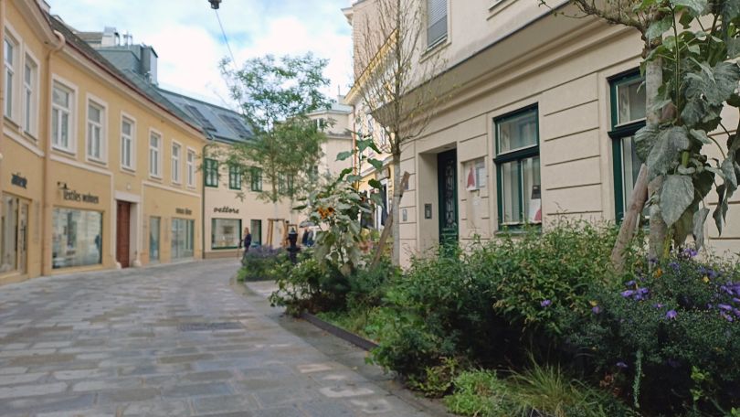 copyright: C.W. - WH Digital Verkehrsberuhigte Gasse mit Pflanzenbeeten und Jungbäumen