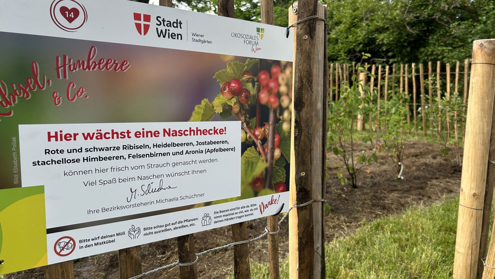 Infotafel bei einer Naschhecke