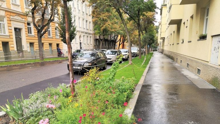 Allee mit neu bepflanzten Grünstreifen