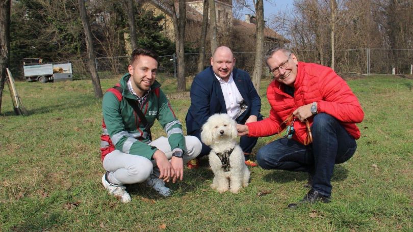 3 Männer und ein kleiner weißer Hund in einem Park