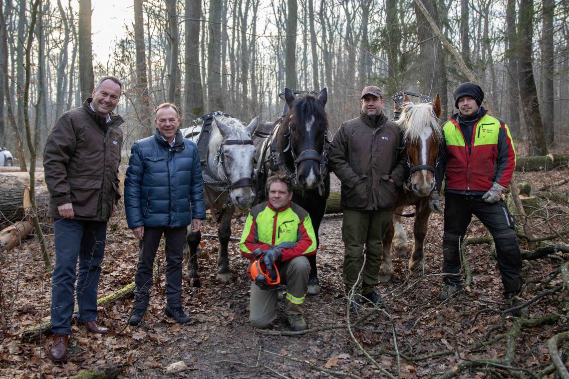 Politiker, Forstarbeiter und Pferde im Wald