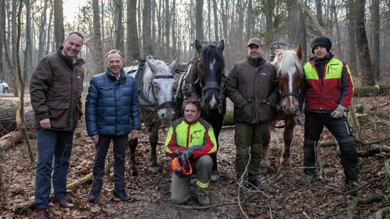 Politiker, Forstarbeiter und Pferde im Wald