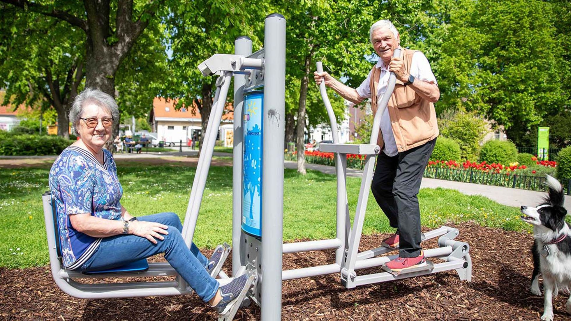 Eine Seniorin und ein Senior auf Fitnessgeräten im Park.