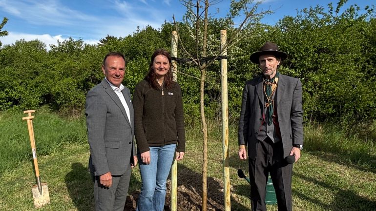 copyright: BV 23/Genitheim Bezirksvorsteher Gerald Bischof, Forstdirektorin Petra Wagner und Obmann des österreichischen Pfadfinderbunds Gerhard Spitzer neben dem neu gepflanztem Baum