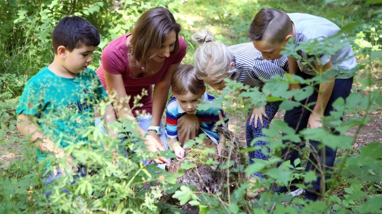 4 Kinder erkunden mit einer Pädagogin den Wald