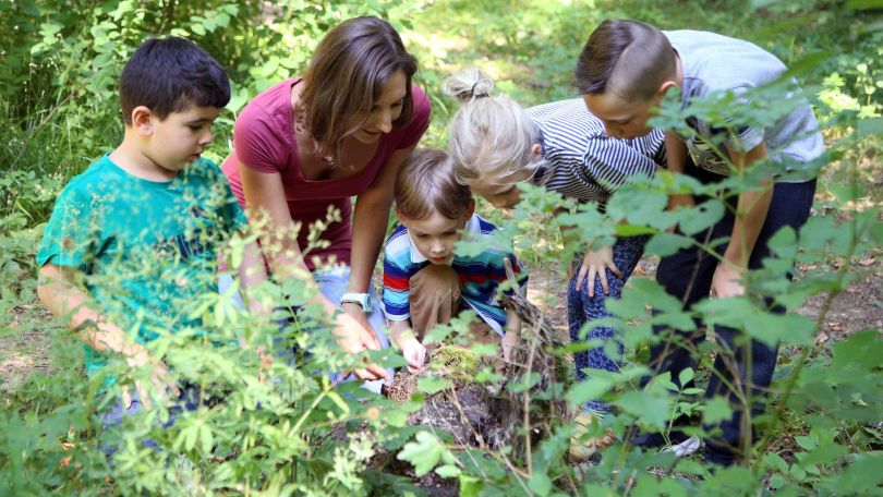 4 Kinder erkunden mit einer Pädagogin den Wald