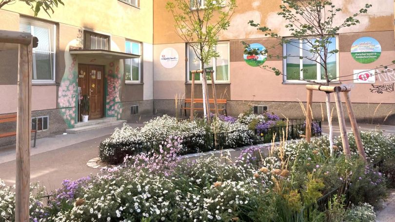 copyright: Kinderfreunde Gebäude Kindergarten Schelleingasse 28