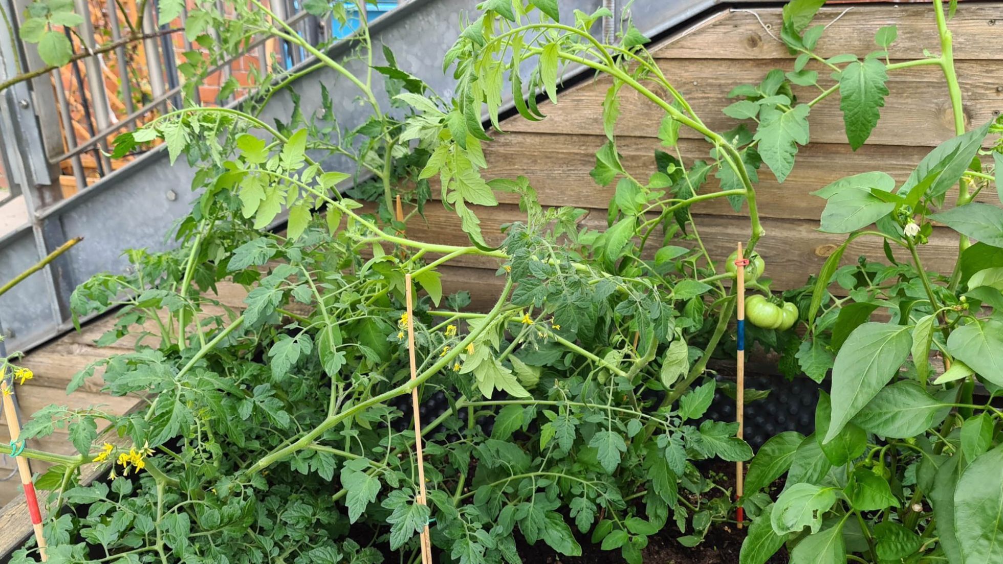 copyright: Kinderfreunde Außenbereich Kindergarten Museumsplatz 1