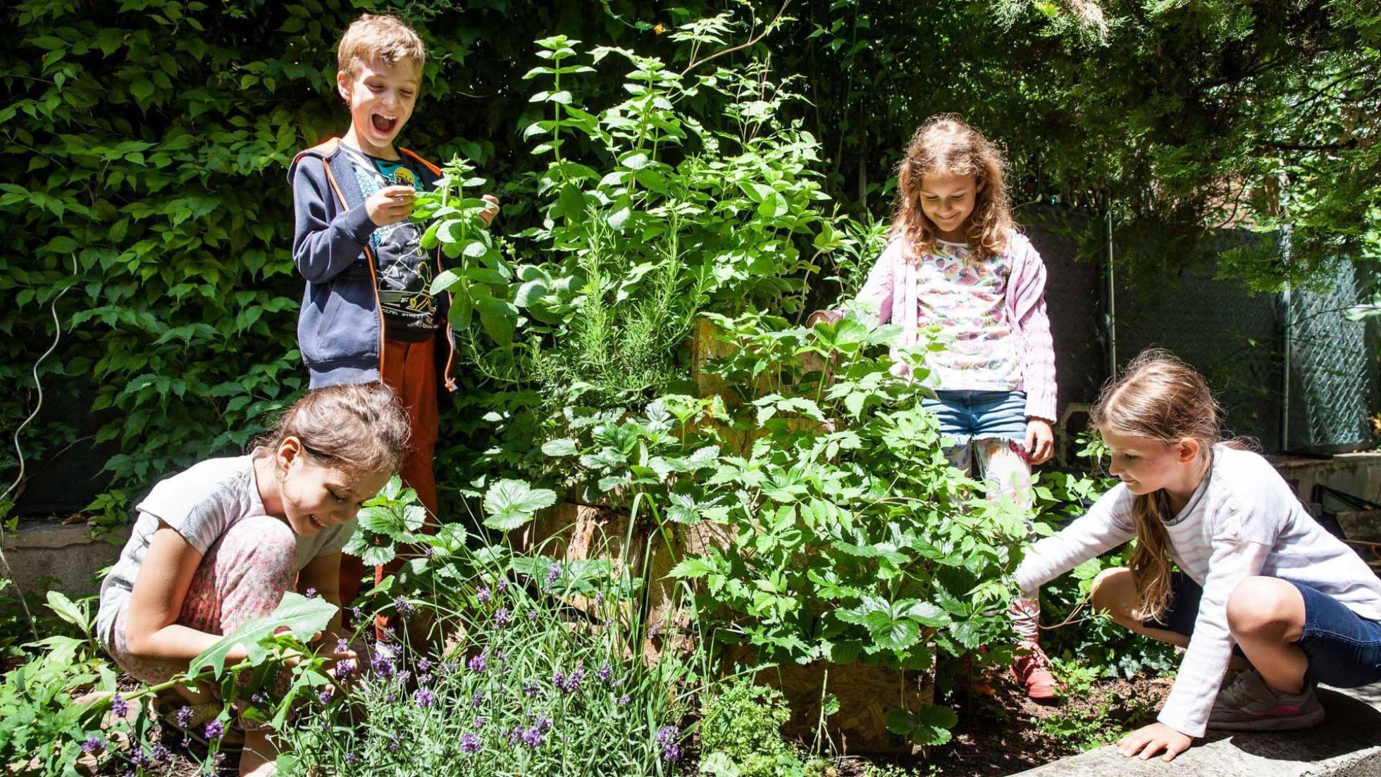 Außenbereich Kindergarten Schumanngasse 17