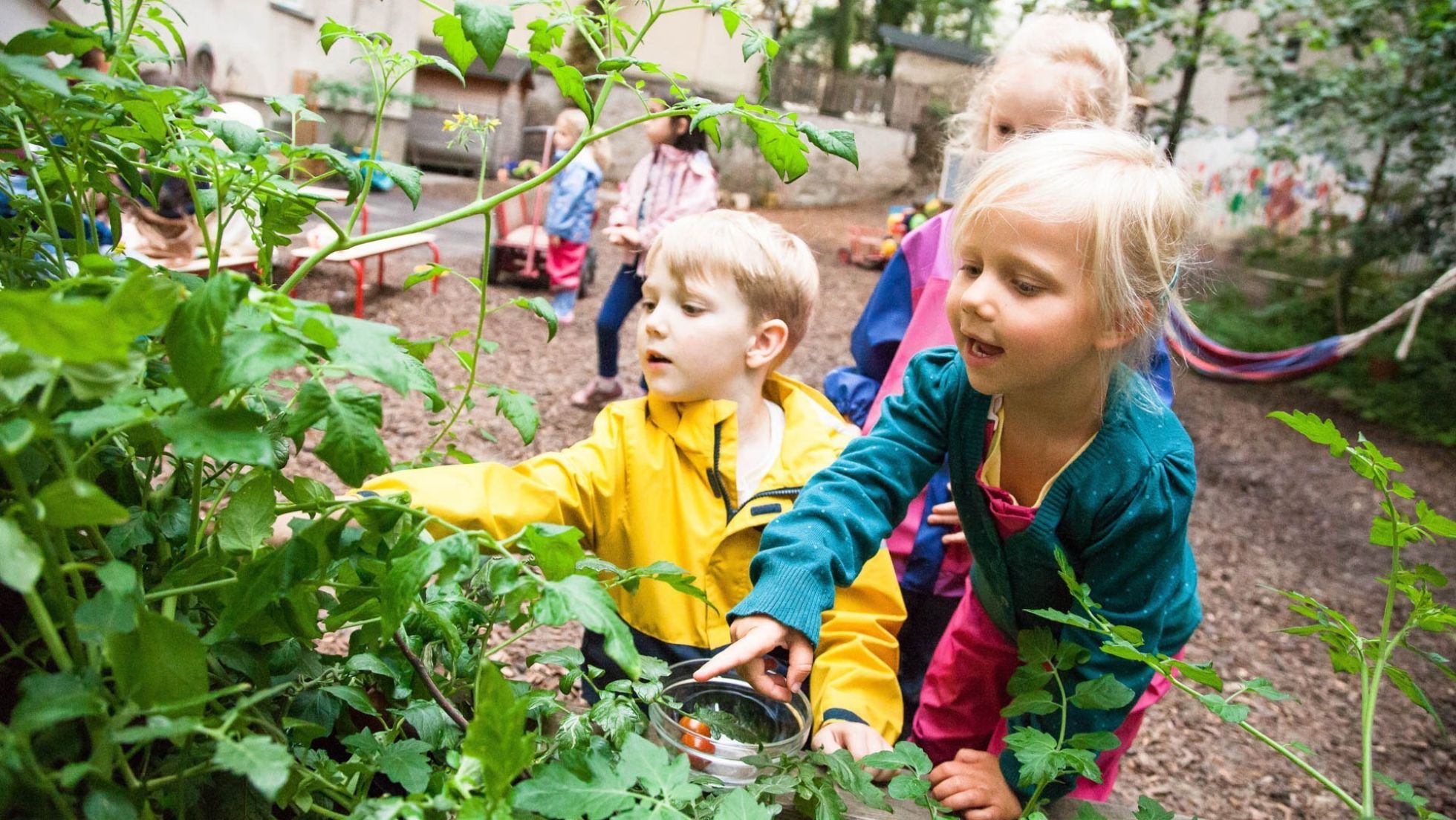 copyright: Nadja Meister Außenbereich Kindergarten Schlüsselgasse 3