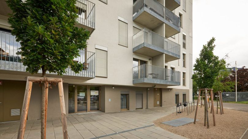 Gebäude Kindergarten Grasbergergasse 11