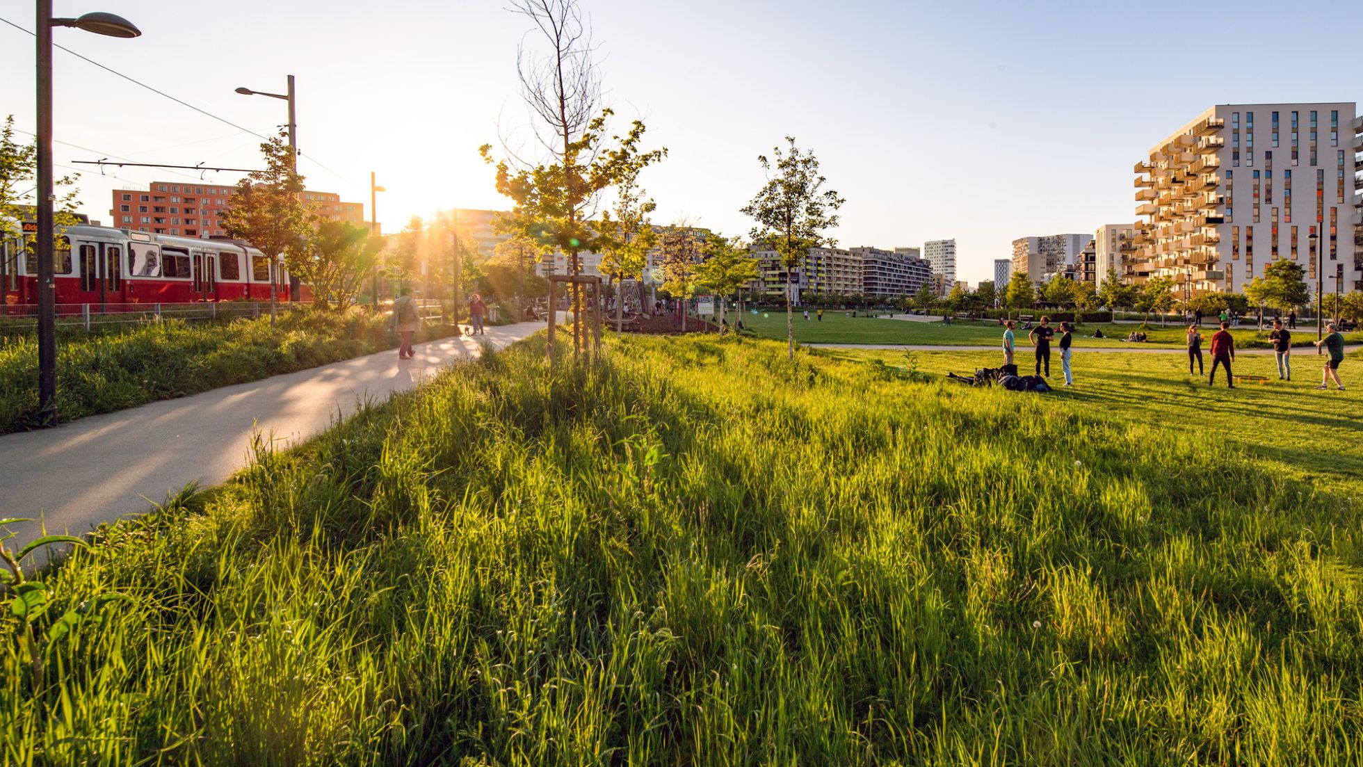 Große Wiese, Menschen, moderne Wohnbauten im Hintergrund, links eine Bim und ein Weg