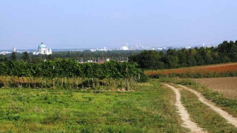 copyright: Sonja Brothanek Die Terrassenlandschaft im Süden Wiens, mit Kirche am Zentralfriedhof im Hintergrund
